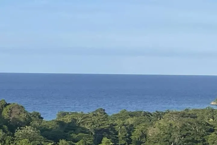 Spring Valley Vista, Ocean View Apartment Ocho Rios Tower Isle