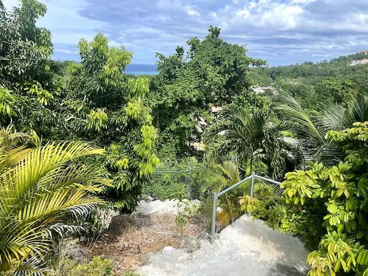 Spring Valley Vista, Ocean View Apartment Ocho Rios Tower Isle